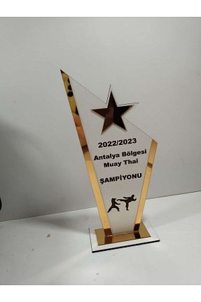 مدال mrchediyesepeti - کد 880182323