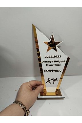مدال mrchediyesepeti - کد 880182323