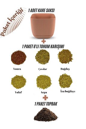  keddythestore - کد 888523898