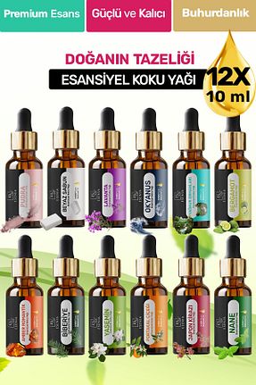  ESENIA - کد 893258019