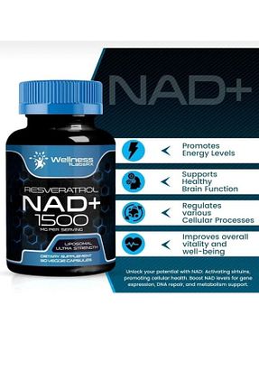 مواد غذایی پروتئینی wellness - کد 803192131