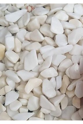 دکوراسیون و اکسسوری اکواریوم Lilac Home - کد 818208550