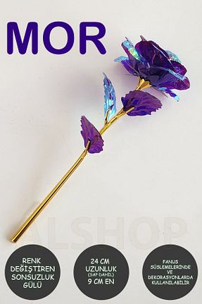 هدیه مفهومی ALSHOP - کد 848490866