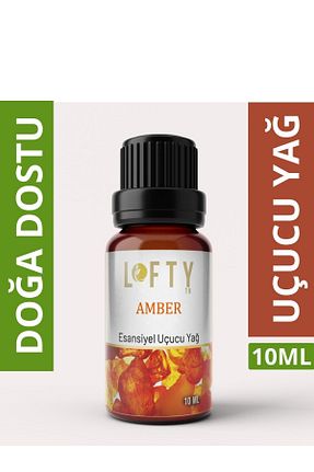  Lofty - کد 302663915