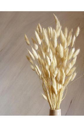 گل خشک و مصنوعی نباتی Dekorsende - کد 123431745