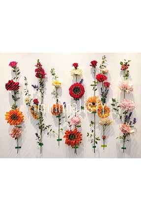 اکسسوری عکاسی و فیلم برداری رنگی Minimalisfy - کد 887535976