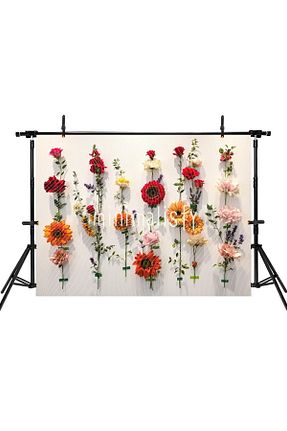 اکسسوری عکاسی و فیلم برداری رنگی Minimalisfy - کد 887535976