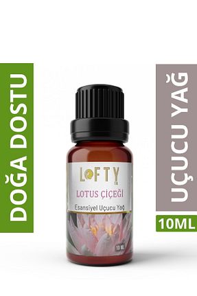  Lofty - کد 215148805