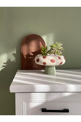 تراریوم و ساکولنت Home - کد 893490016