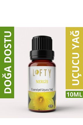  Lofty - کد 302663707