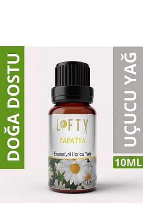  Lofty - کد 302663884