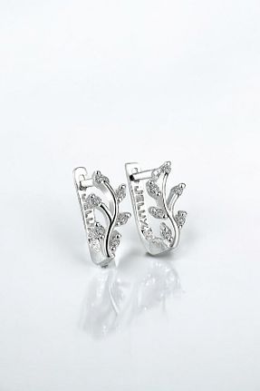 گوشواره نقره سفید زنانه 925 عیار jelux silver - کد 65741278