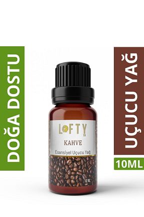  Lofty - کد 215017984