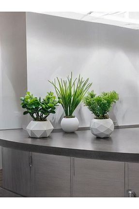 گلدان سفید zanfagroup - کد 893470089