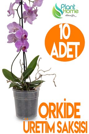 گلدان رنگی Plant Home Power Mix - کد 894361467