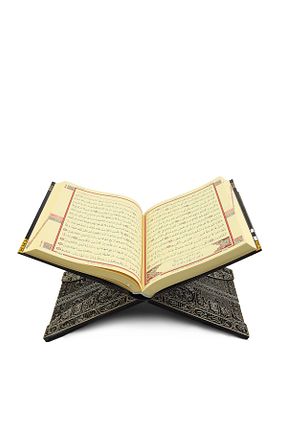 پایه کتاب رنگی چوب Trendmiya - کد 896499395
