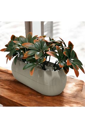 گل خشک و مصنوعی نارنجی Lilac Home - کد 894992228