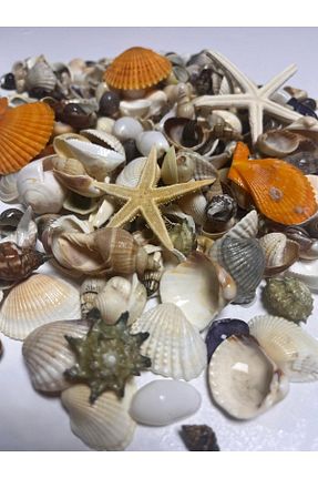 منجق Flea Market - کد 307509894