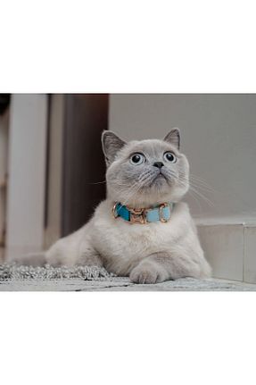 قلاده گربه بژ GoPawGo - کد 376392095