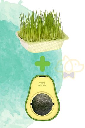  PAPYONPETSHOP - کد 896675931