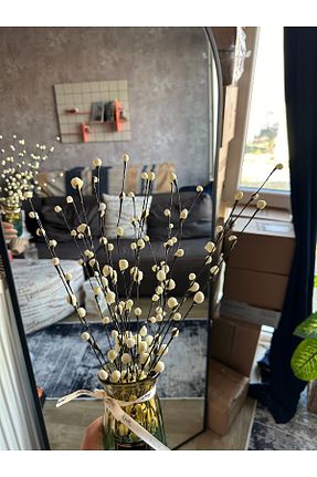گل خشک و مصنوعی سفید Kalya Concept - کد 896894230