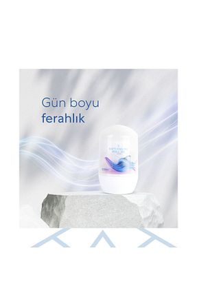 دئودورانت و رول آن مردانه Bargello - کد 714227699