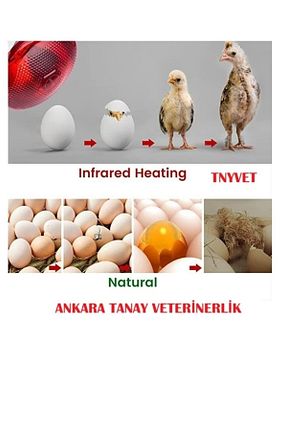 ماشین آلات گاوداری TNYVET - کد 812221079