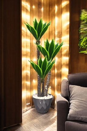 گل خشک و مصنوعی سبز SY Vista - کد 895654869