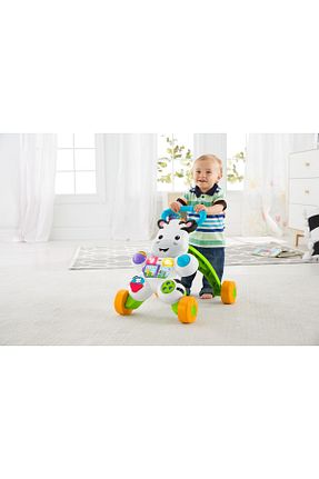 واکر رنگی Fisher Price - کد 2735253