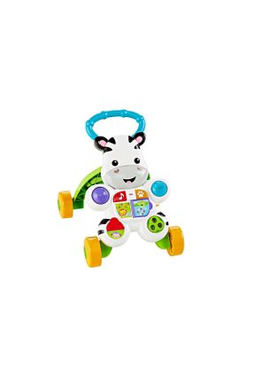 واکر رنگی Fisher Price - کد 2735253