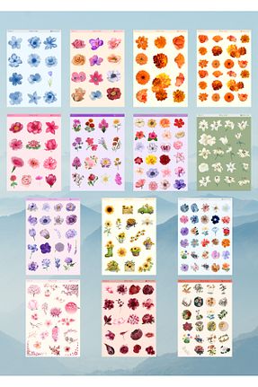 اتیکت MirayDesign - کد 896741339