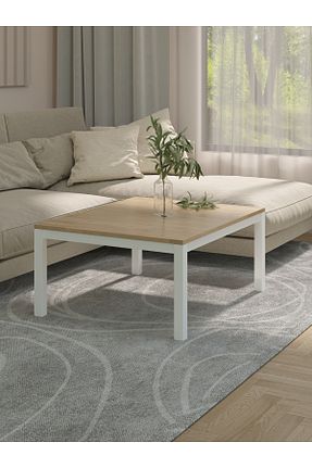 میز جلو مبلی قهوه ای Suntalam NEATS - کد 897010774