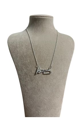 گردنبند استیل ( فولاد ) زنانه استیل (فولاد) DELLS ACCESSORY - کد 897378233