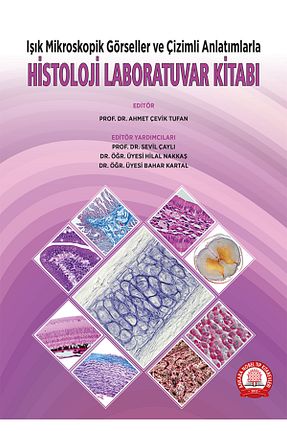 کتاب پزشکی Ankara Nobel Tıp Kitapevleri - کد 40930296