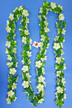 گل خشک و مصنوعی سفید MD Aspiz Flowers - کد 897998000