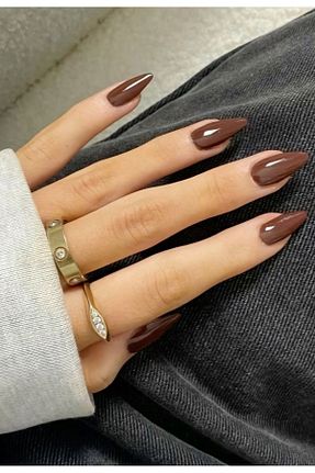 ناخن مصنوعی و اکسسوری قهوه ای Sibelon - کد 886821732