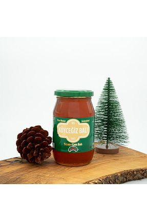 عسل kb köyceğiz balı - کد 33288726