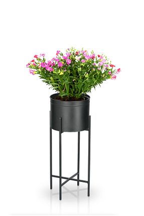 ژاردینیر مشکی 63 سانتی متر Doğa Dizayn - کد 772317303