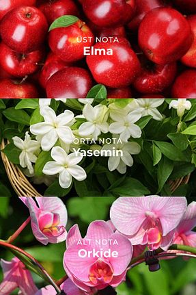 خوشبو کننده هوا Armasari - کد 897260773