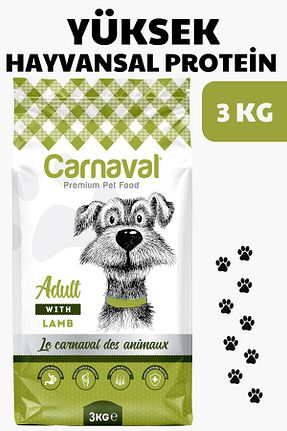  Yetişkin (1 - 7 سال) Carnaval - کد 240630176
