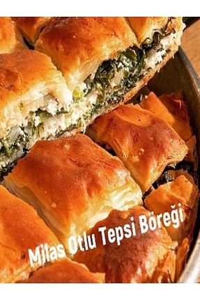 بورک istikamet fırını - کد 898355349