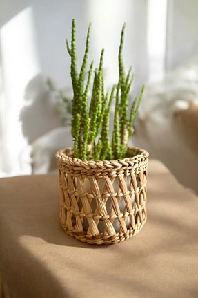 گلدان قهوه ای AFRALYAHOME - کد 885589003