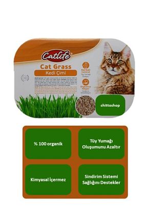  Catlife - کد 897160525