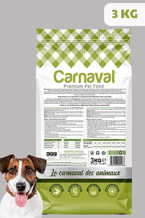  Yetişkin (1 - 7 سال) Carnaval - کد 240630176