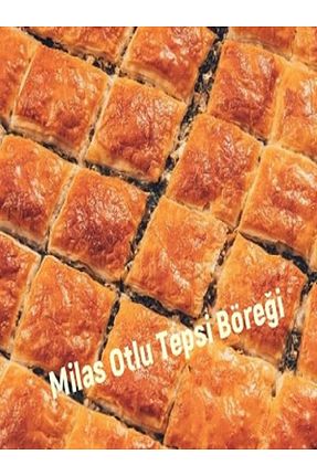 بورک istikamet fırını - کد 898355349