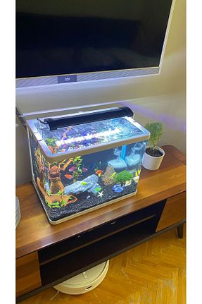 روشنائی اکواریوم Shark - کد 354575954