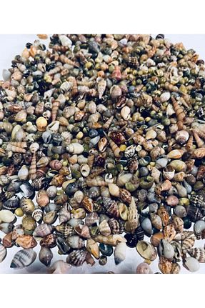دکوراسیون و اکسسوری اکواریوم LilaHediyelikEşya - کد 714674209