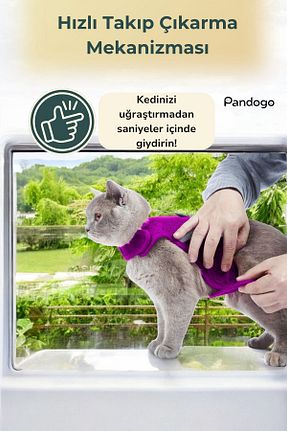 قلاده گربه بنفش Pandogo - کد 346317355