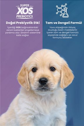  Çok Küçük (1 - 4 kg) Reflex - کد 750647