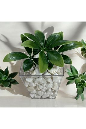 گل خشک و مصنوعی سبز Lilac Home - کد 857006019